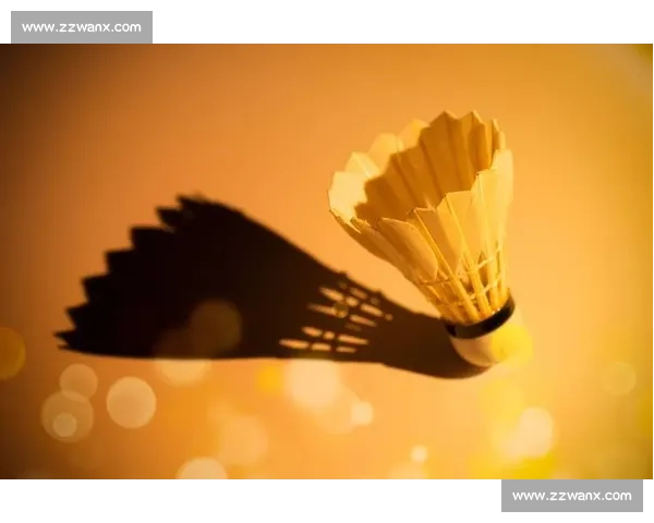 羽毛球VS100极限挑战全民参与速度力量智慧大对决巅峰之战